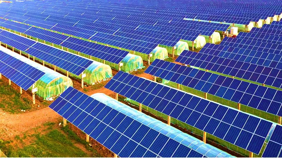 agricultural farming